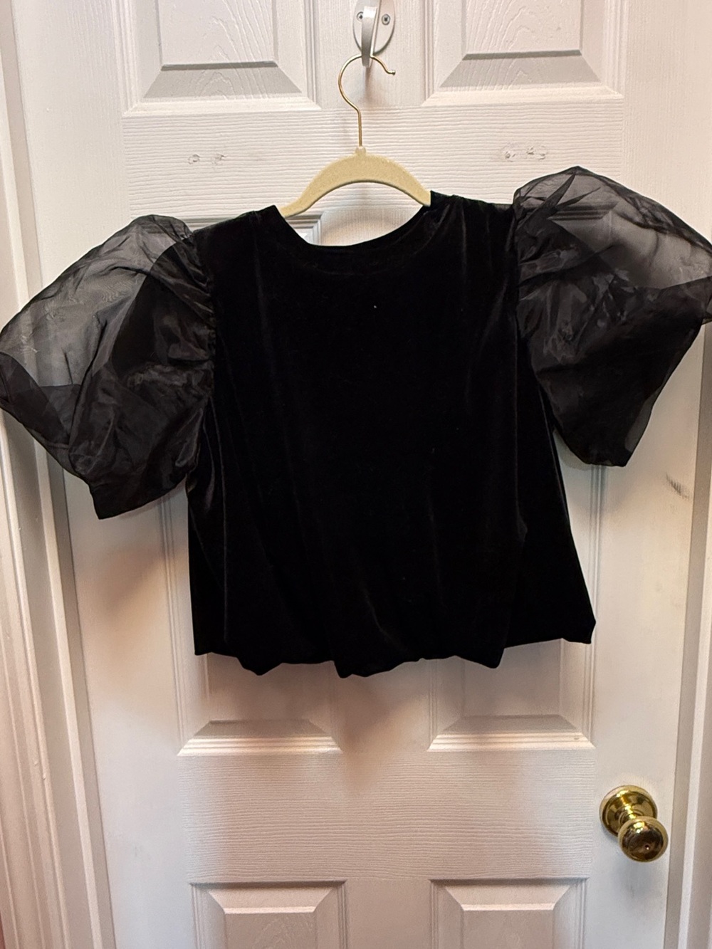 Black Velvet Top with Sheer Puff Sleeves